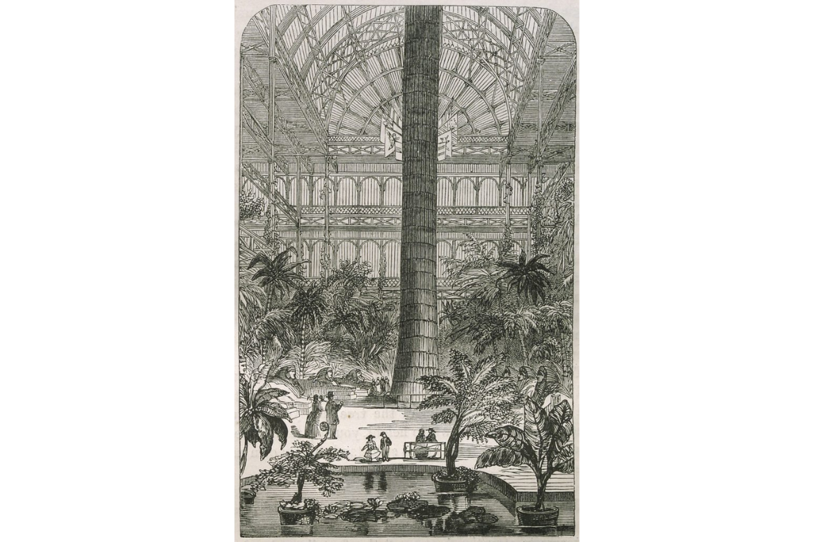 Sketch drawing of a botanical garden