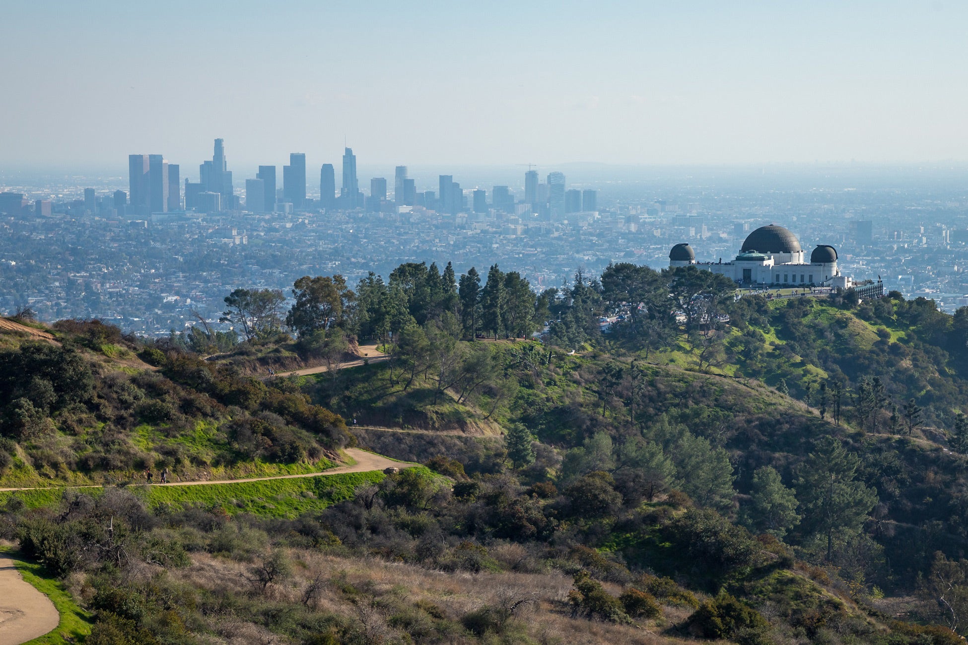 Looking south from Griffith Park hilltops to L.A. skyline; Griffith Observatory at right 