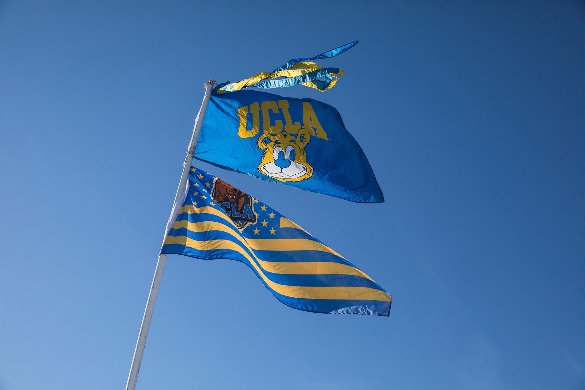 Two blue and gold UCLA flags waving against a clear blue sky.