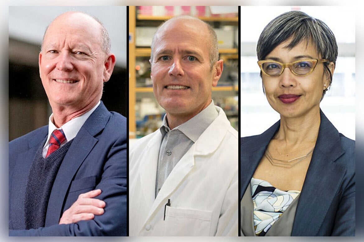 Three individuals posing and smiling