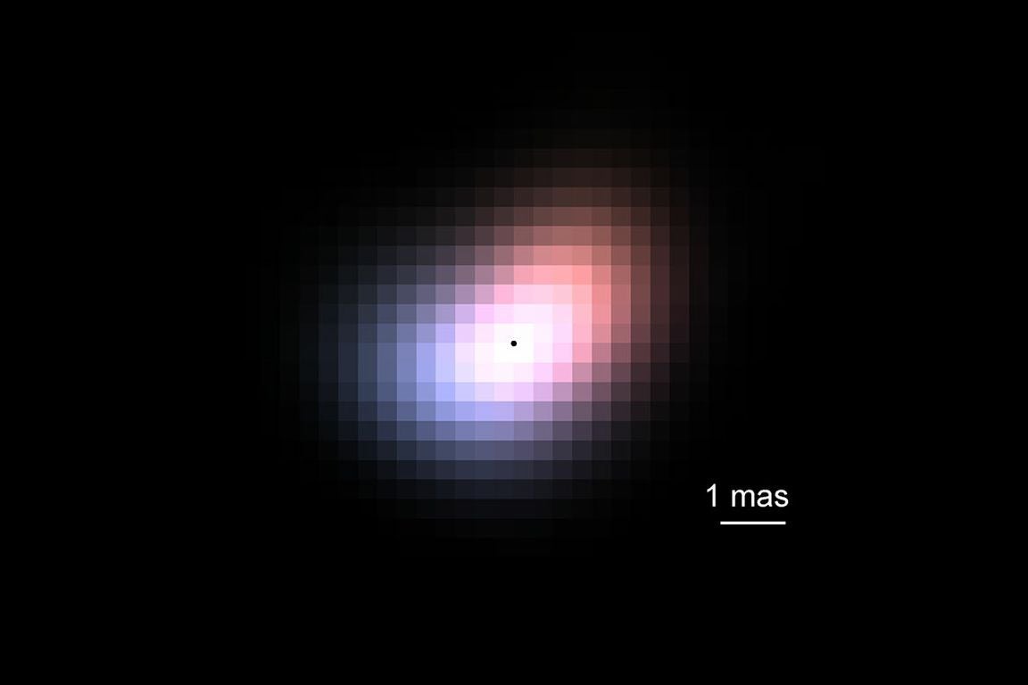 Reconstructed image of the compact, fast-rotating asymmetric disc around star beta Canis Minoris