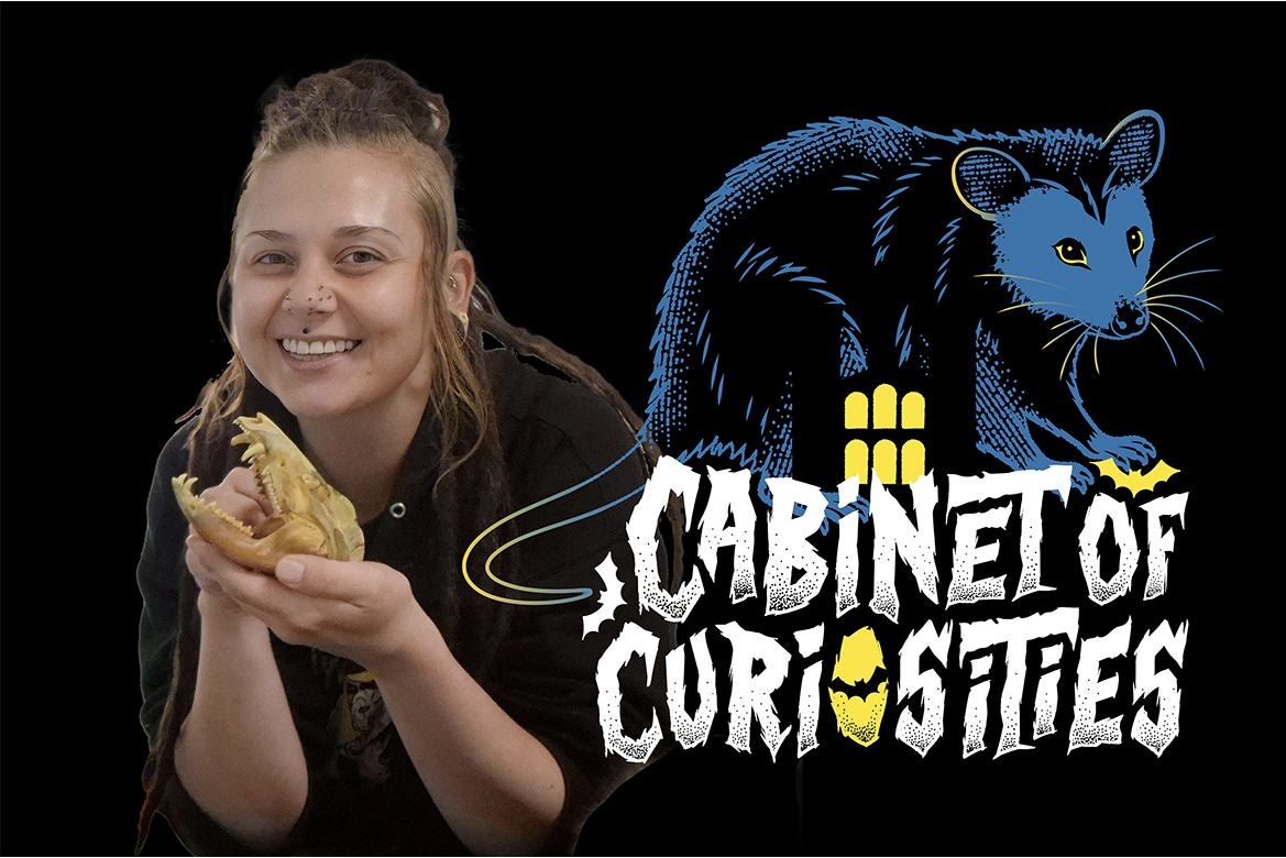 Shanti Lindberg holding a small animal skull next to a blue illustrated opossum and Cabinet of Curiosities text.