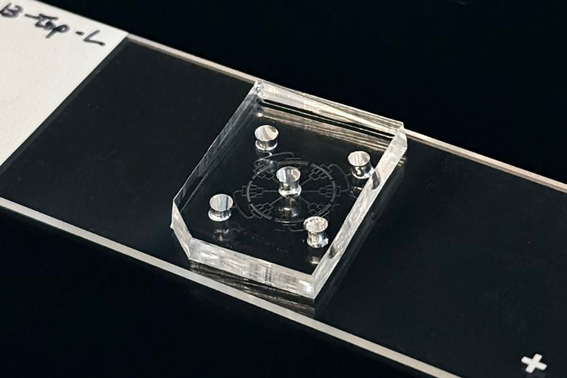 Close-up of a transparent hexagonal display containing five silver pegs around a central peg, engraved with a circular design on a black board.