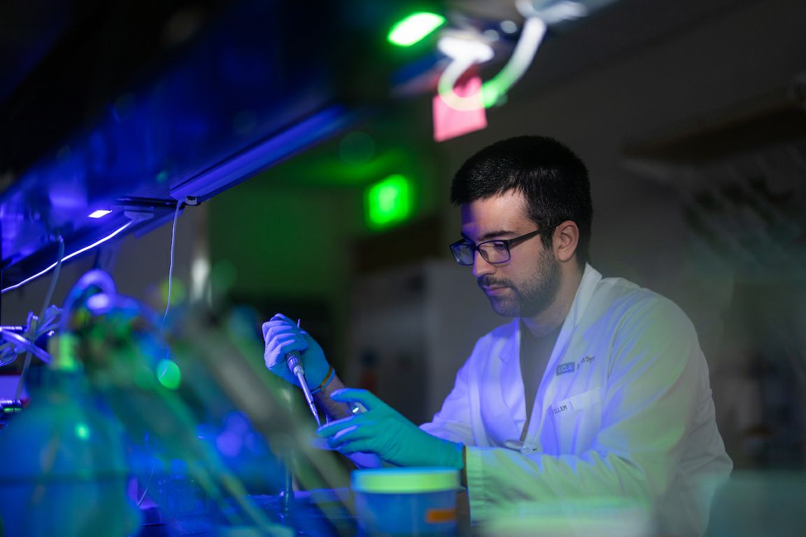 Researcher working in a UCLA immunology lab