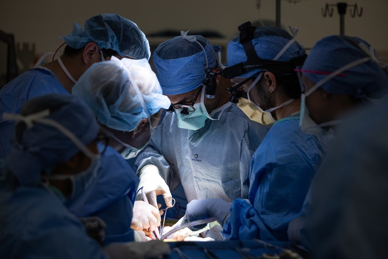 Surgeons in the operating room with spotlight on patient’s torso