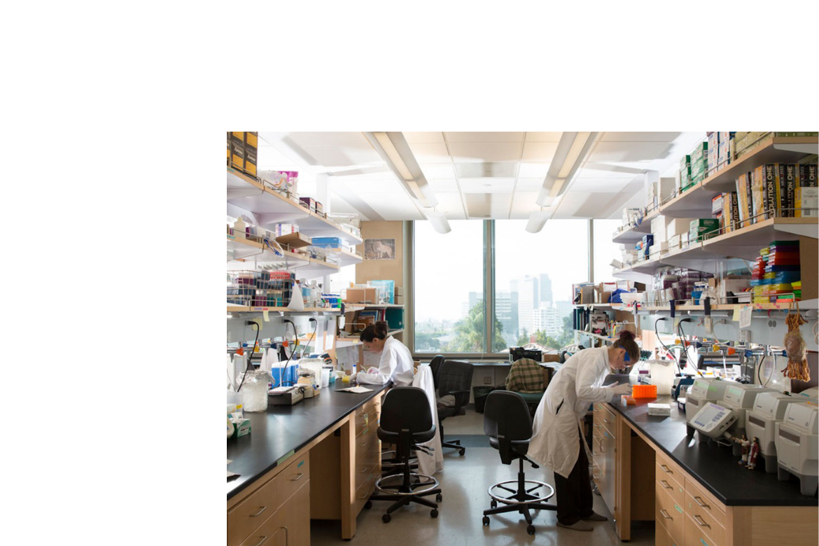 Two researchers in white lab coats work at benches in a well-stocked university laboratory, with a city skyline visible through a large background window.