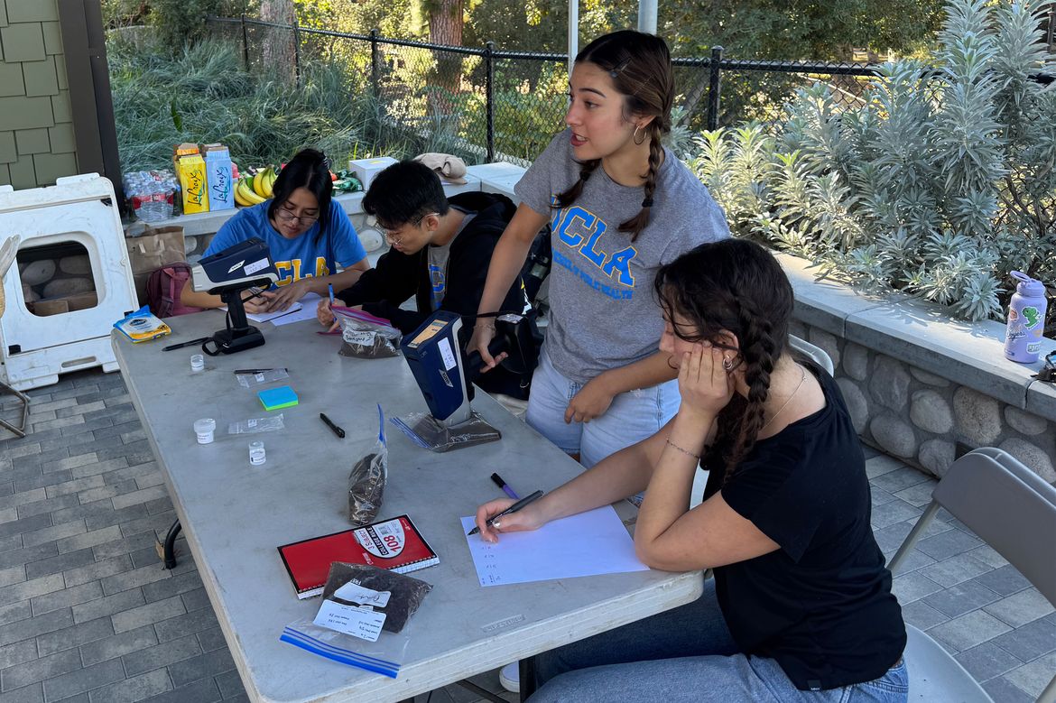 Three students sitting at a table and one, in gray UCLA shirt, standing