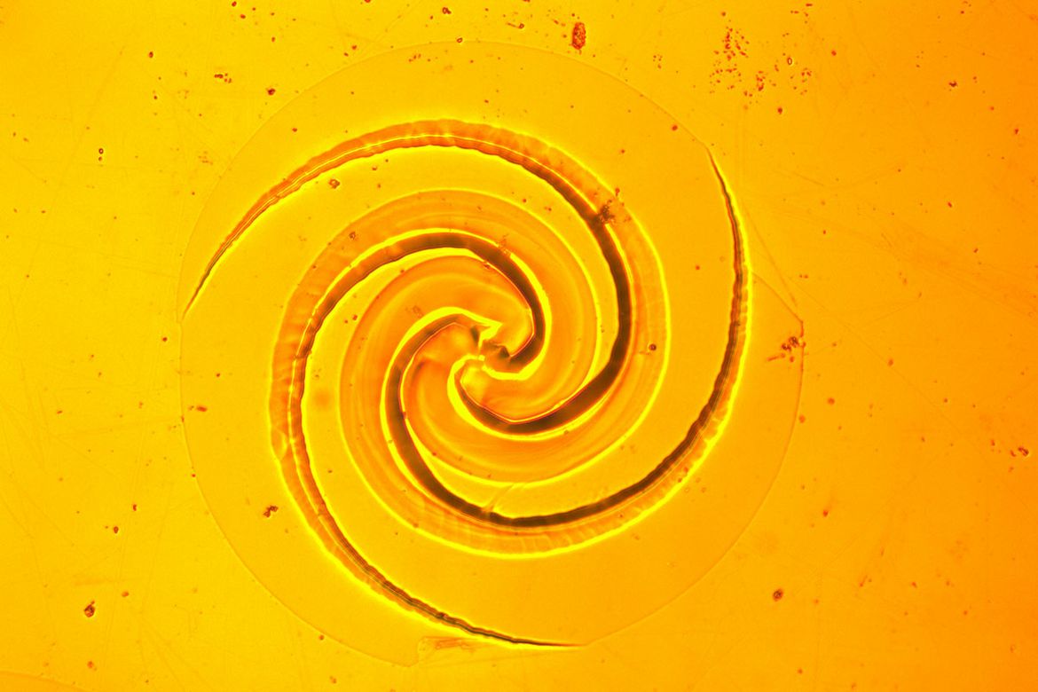 Swirl pattern against yellow-orange background