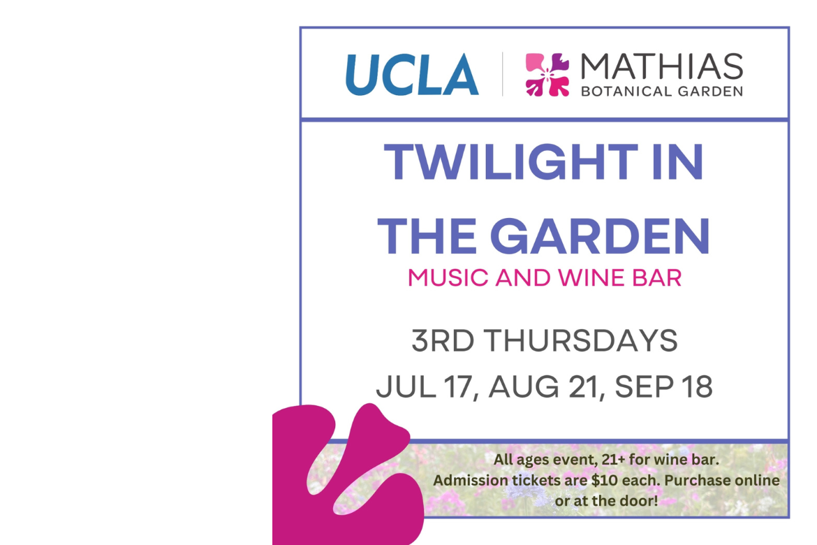 Flyer for UCLA Mathias Botanical Garden’s Twilight in the Garden: Music and Wine Bar series. The top features the UCLA logo in blue alongside the Mathias Botanical Garden logo with a pink flower. The event is held on the 3rd Thursdays—July 17, August 21, and September 18—with $10 admission and a 21+ wine bar.