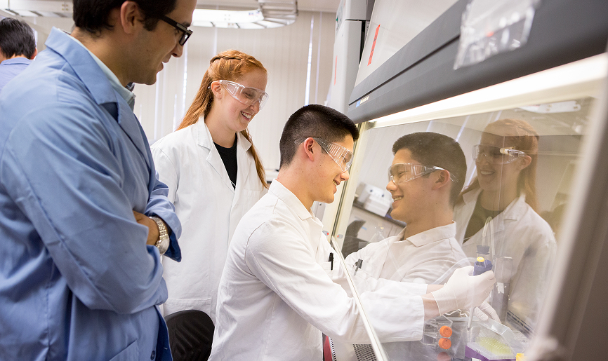 Group of scientists doing lab work