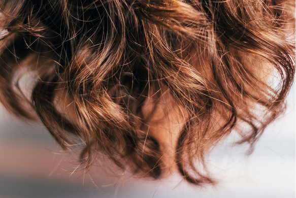 The top of someones hair”